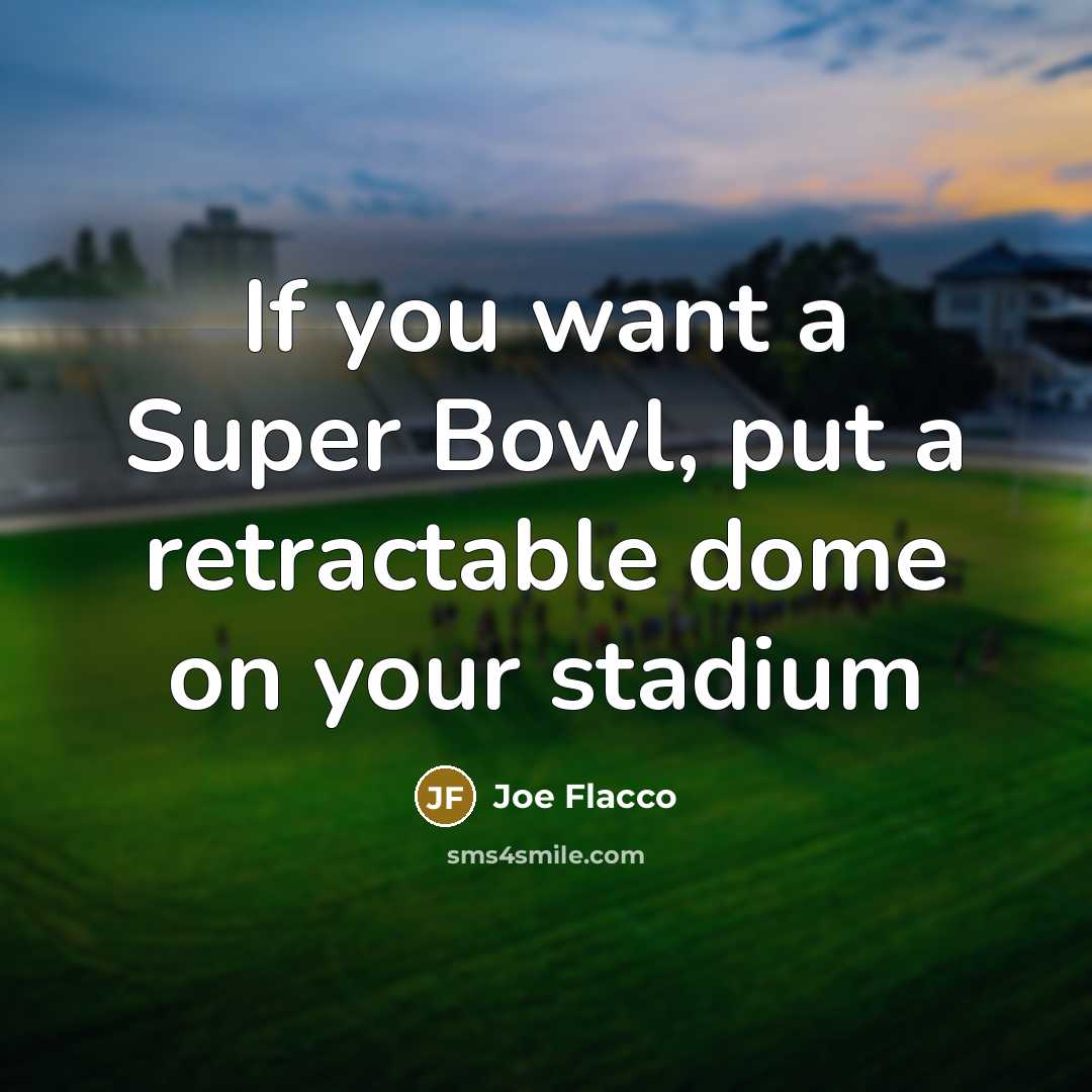 “If you want a Super Bowl, put a retractable dome…” quote by Joe Flacco