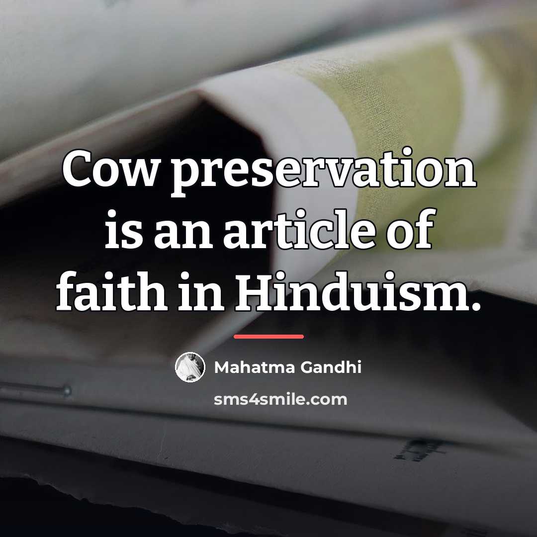 “Cow preservation is an article of faith in Hinduism.…” quote by Mahatma Gandhi