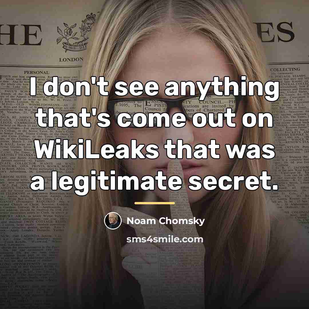 “I don't see anything that's come out on WikiLeaks that…” quote by Noam Chomsky