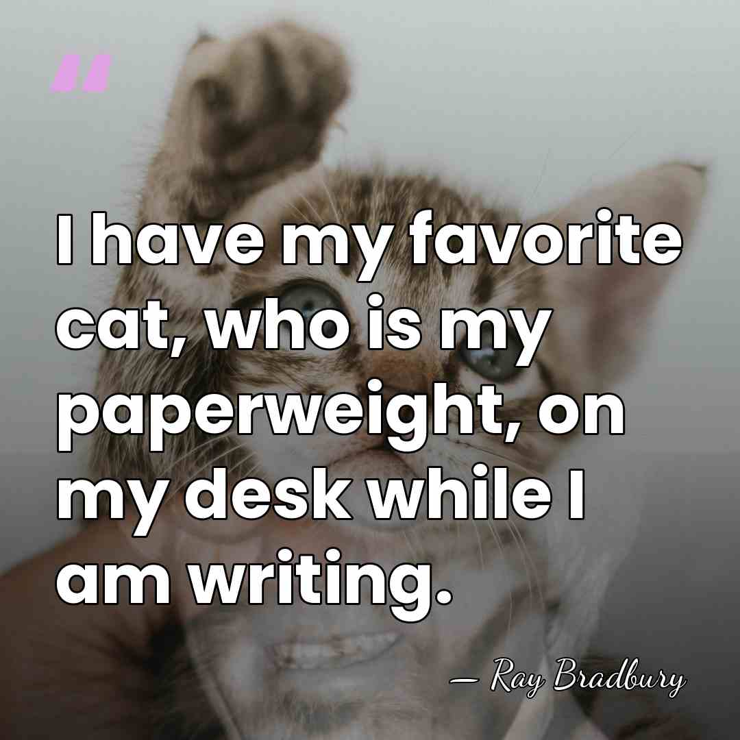 I have my favorite cat, who is my paperweight, on my desk&hellip; - Ray Bradbury