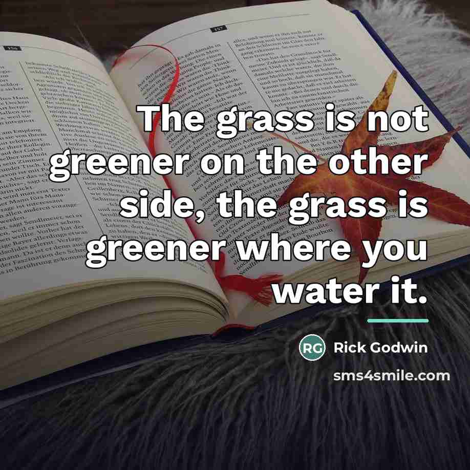 “The grass is not greener on the other side, the…” quote by Rick Godwin
