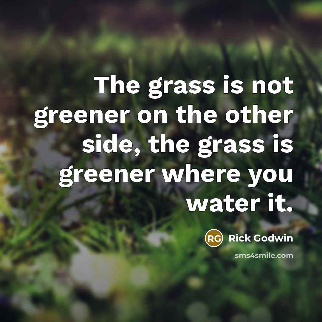 “The grass is not greener on the other side, the grass is greener where you water it.” quote by Rick Godwin