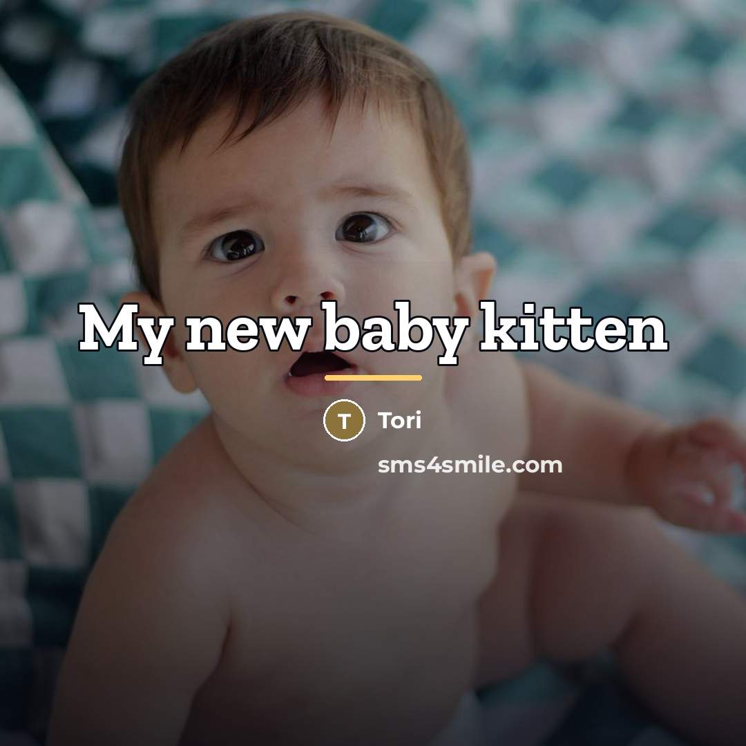 “My new baby kitten…” quote by Tori