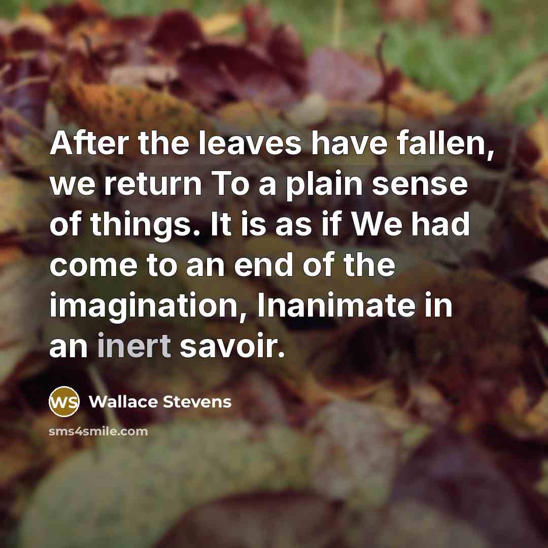 “After the leaves have fallen, we return To a plain…” quote by Wallace Stevens