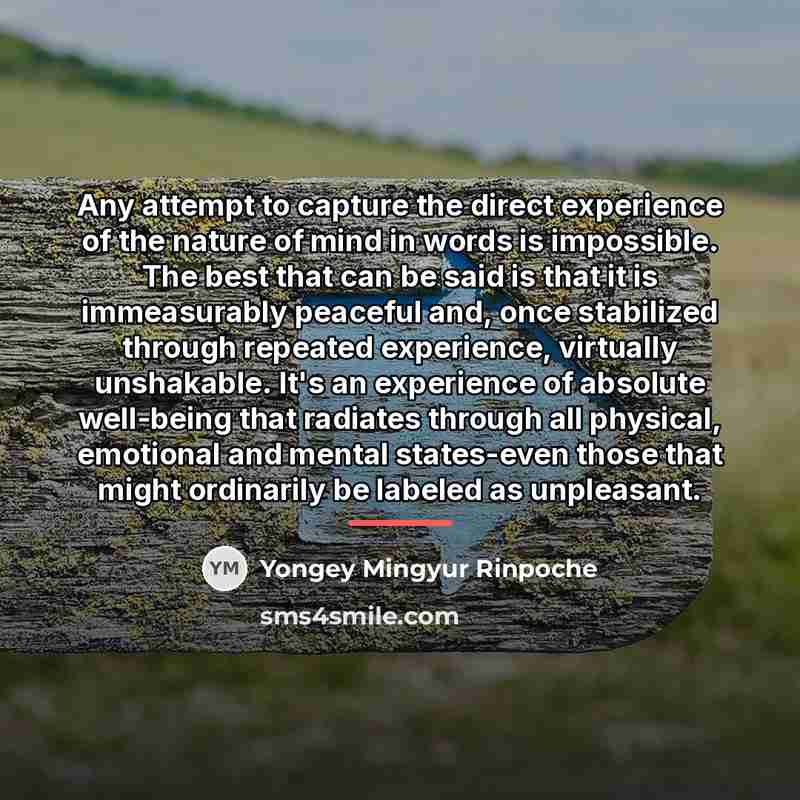 “Any attempt to capture the direct experience of the nature…” quote by Yongey Mingyur Rinpoche