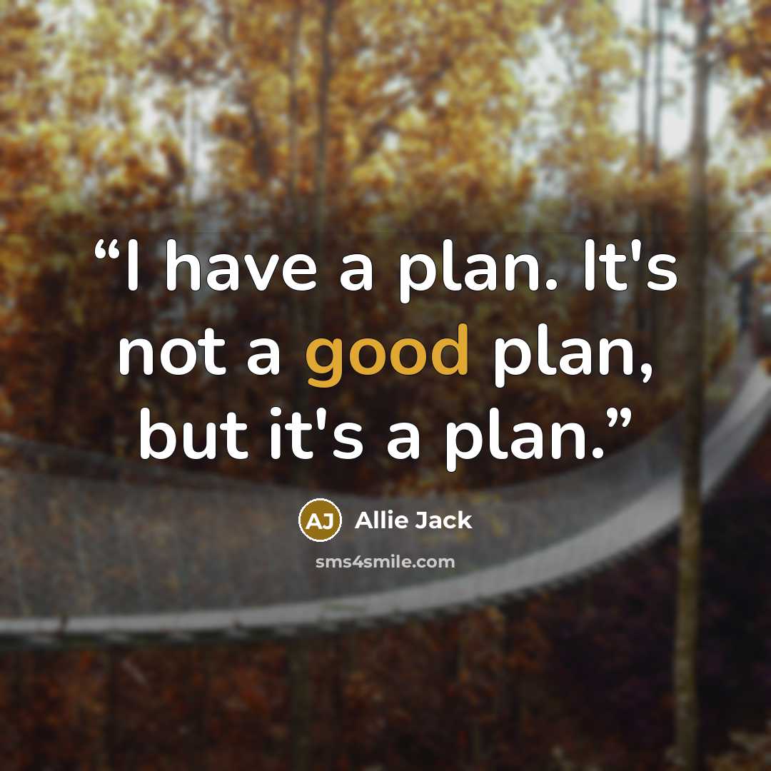 “I have a plan. It's not a good plan, but it's a plan.” quote by Allie Jack