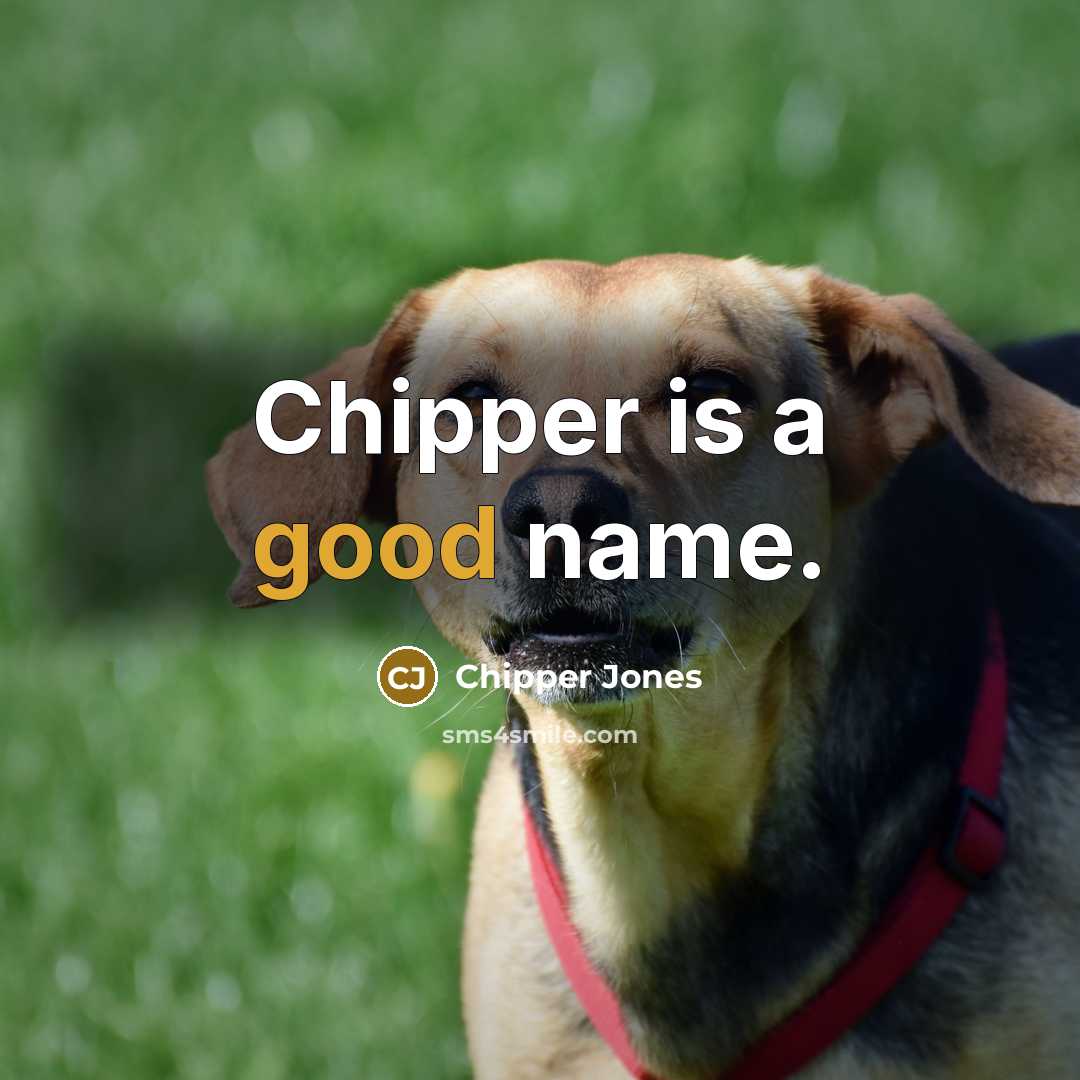 “Chipper is a good name.…” quote by Chipper Jones