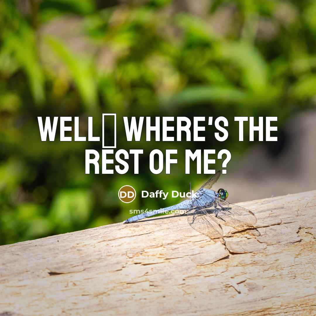 “Well� where's the rest of me?…” quote by Daffy Duck