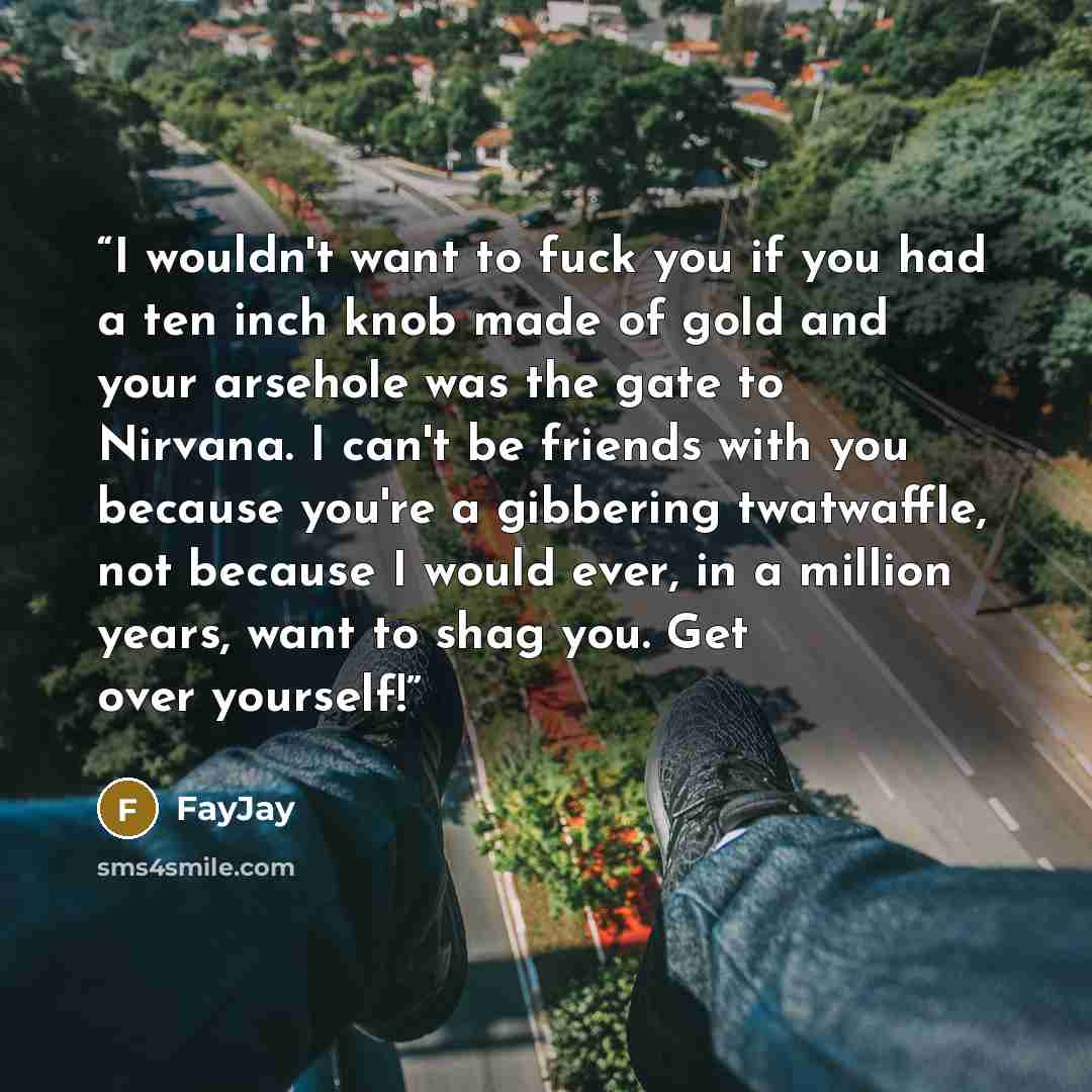 “I wouldn't want to fuck you if you had a ten inch knob made of gold and your arsehole was the gate to Nirvana. I can't be friends with you because you're a gibbering twatwaffle, not because I would ever, in a million years, want to shag you. Get over yourself!” quote by FayJay