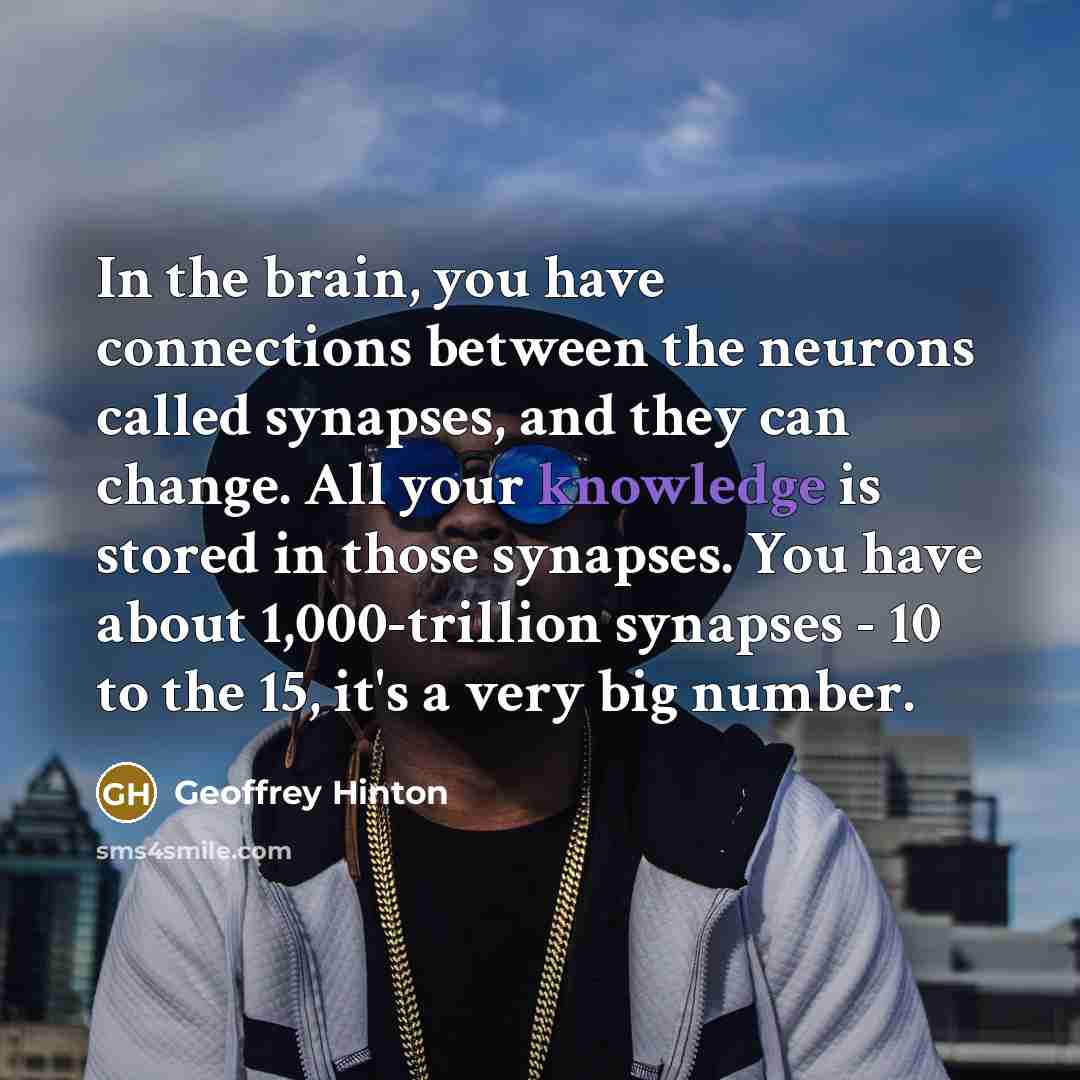 “In the brain, you have connections between the neurons called…” quote by Geoffrey Hinton
