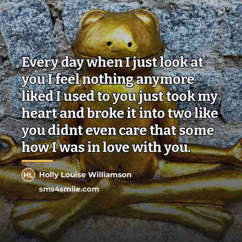 “Every day when I just look at you I feel…” quote by Holly Louise Williamson