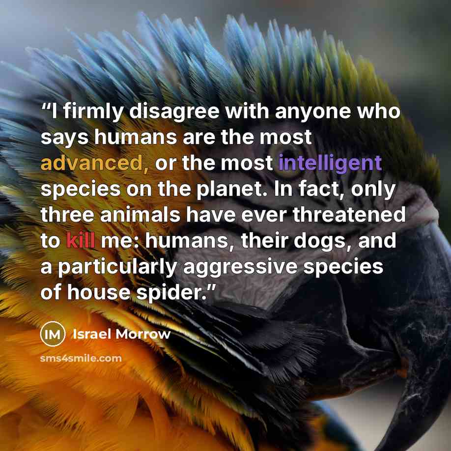 “I firmly disagree with anyone who says humans are the most advanced, or the most intelligent species on the planet. In fact, only three animals have ever threatened to kill me: humans, their dogs, and a particularly aggressive species of house spider.” quote by Israel Morrow