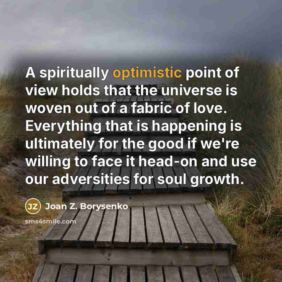 “A spiritually optimistic point of view holds that the universe…” quote by Joan Z. Borysenko