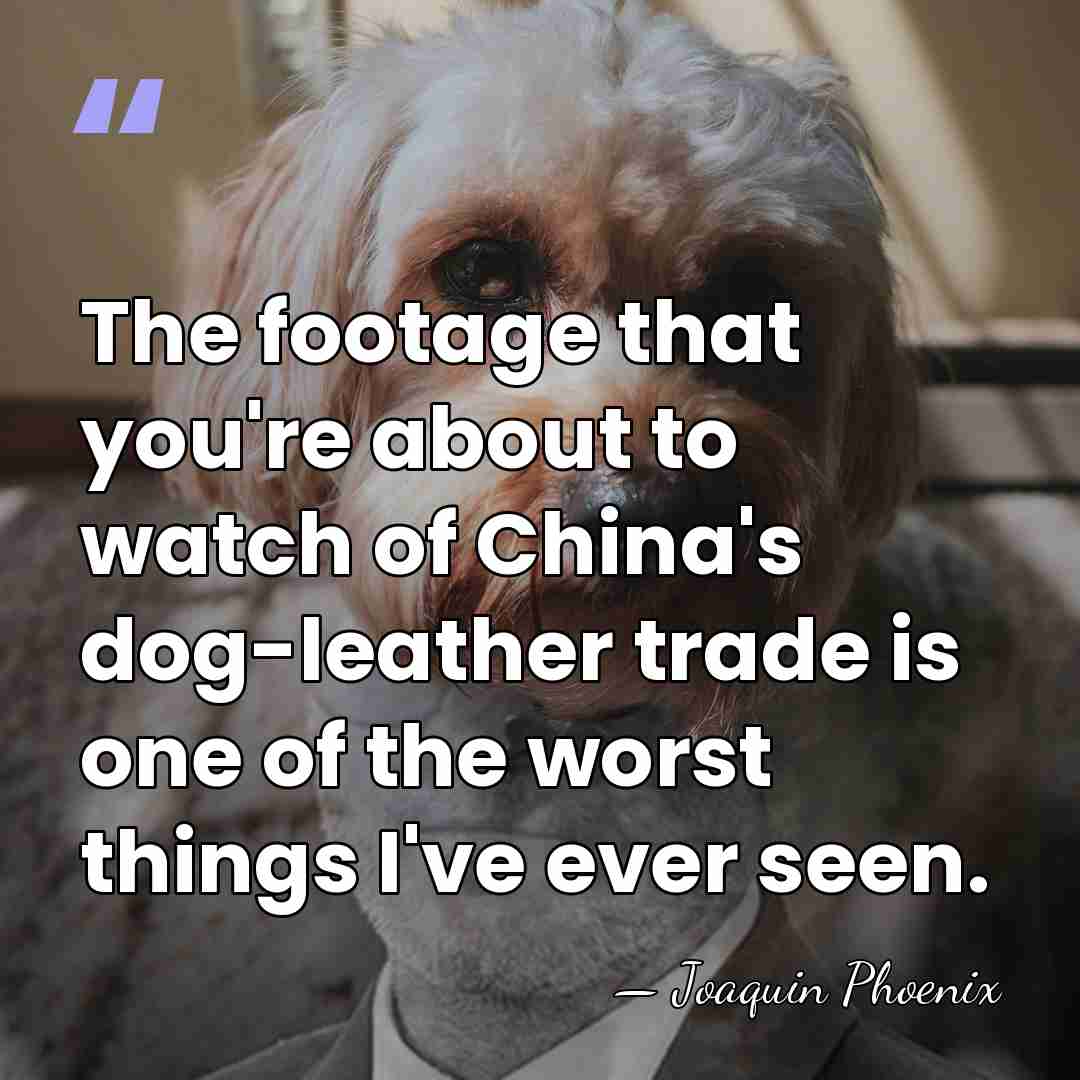 The footage that you're about to watch of China's dog-leather trade is&hellip; - Joaquin Phoenix