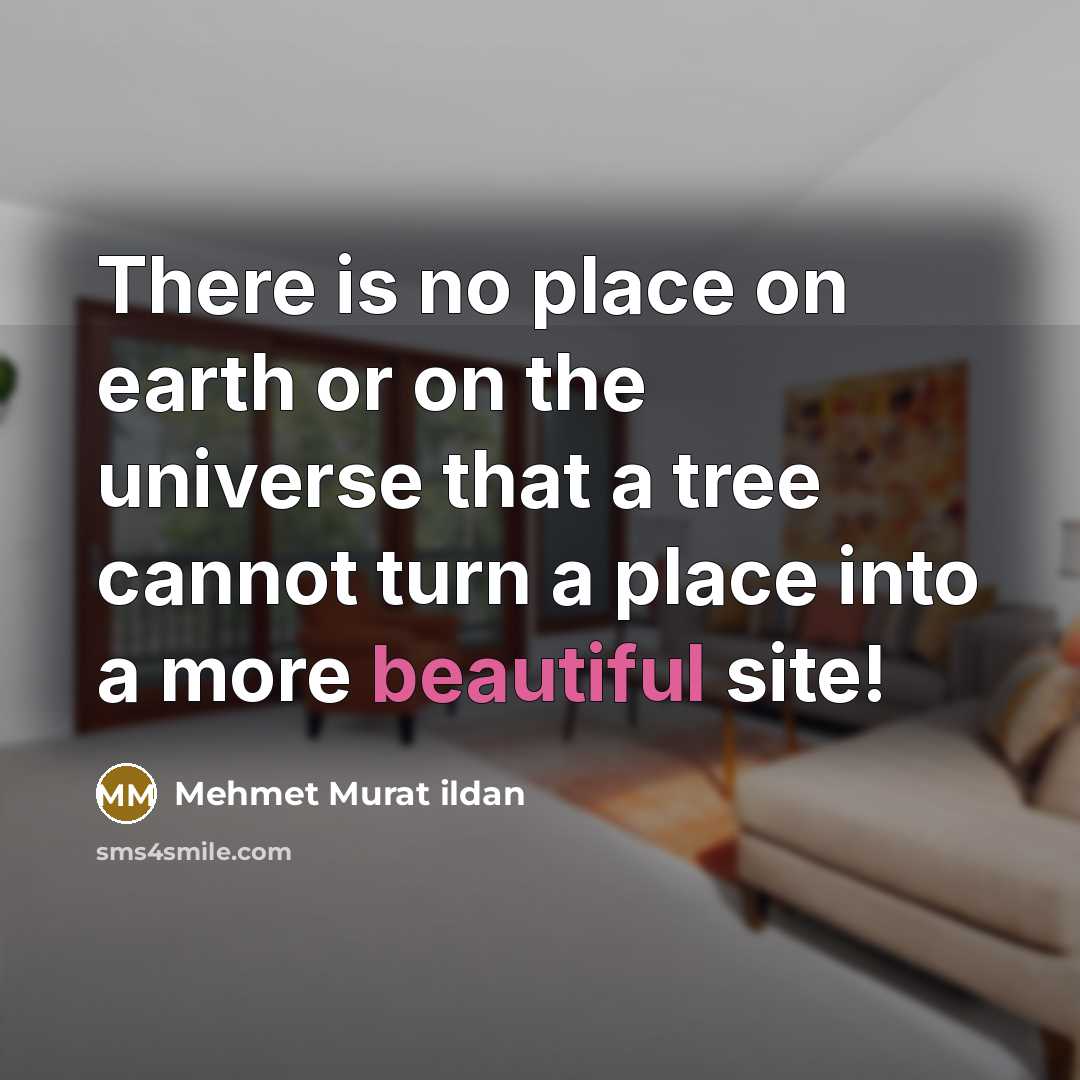 “There is no place on earth or on the universe…” quote by Mehmet Murat Ildan
