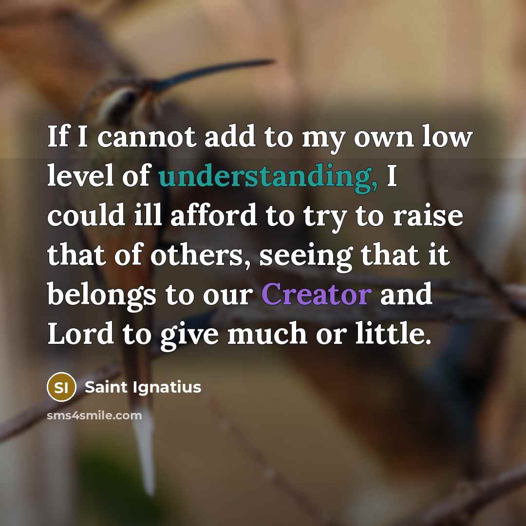 “If I cannot add to my own low level of…” quote by Saint Ignatius