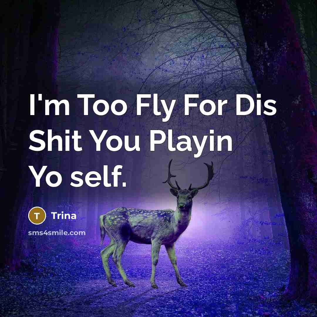 “I'm Too Fly For Dis Shit You Playin Yo self.…” quote by Trina