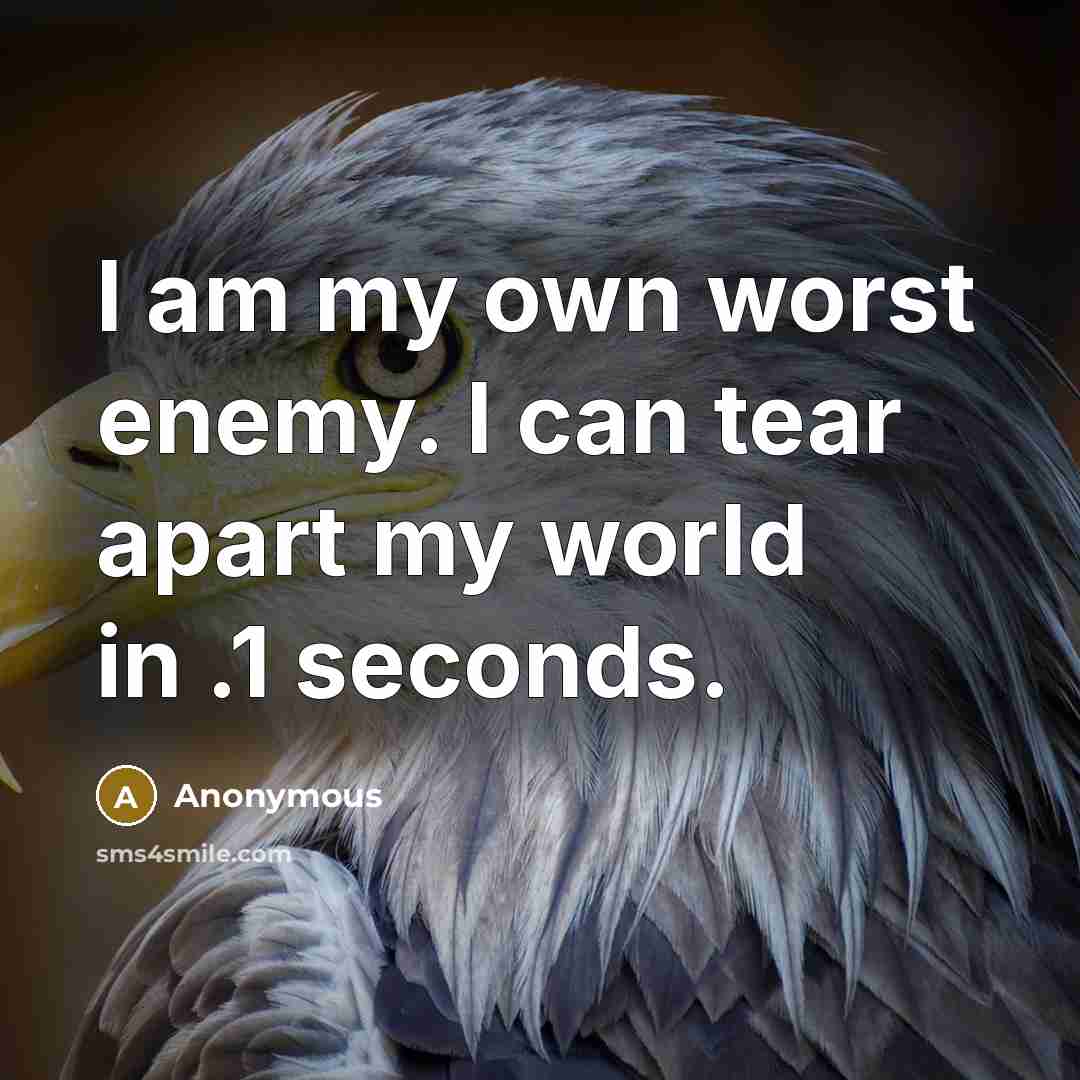 “I am my own worst enemy. I can tear apart…” quote by Anonymous