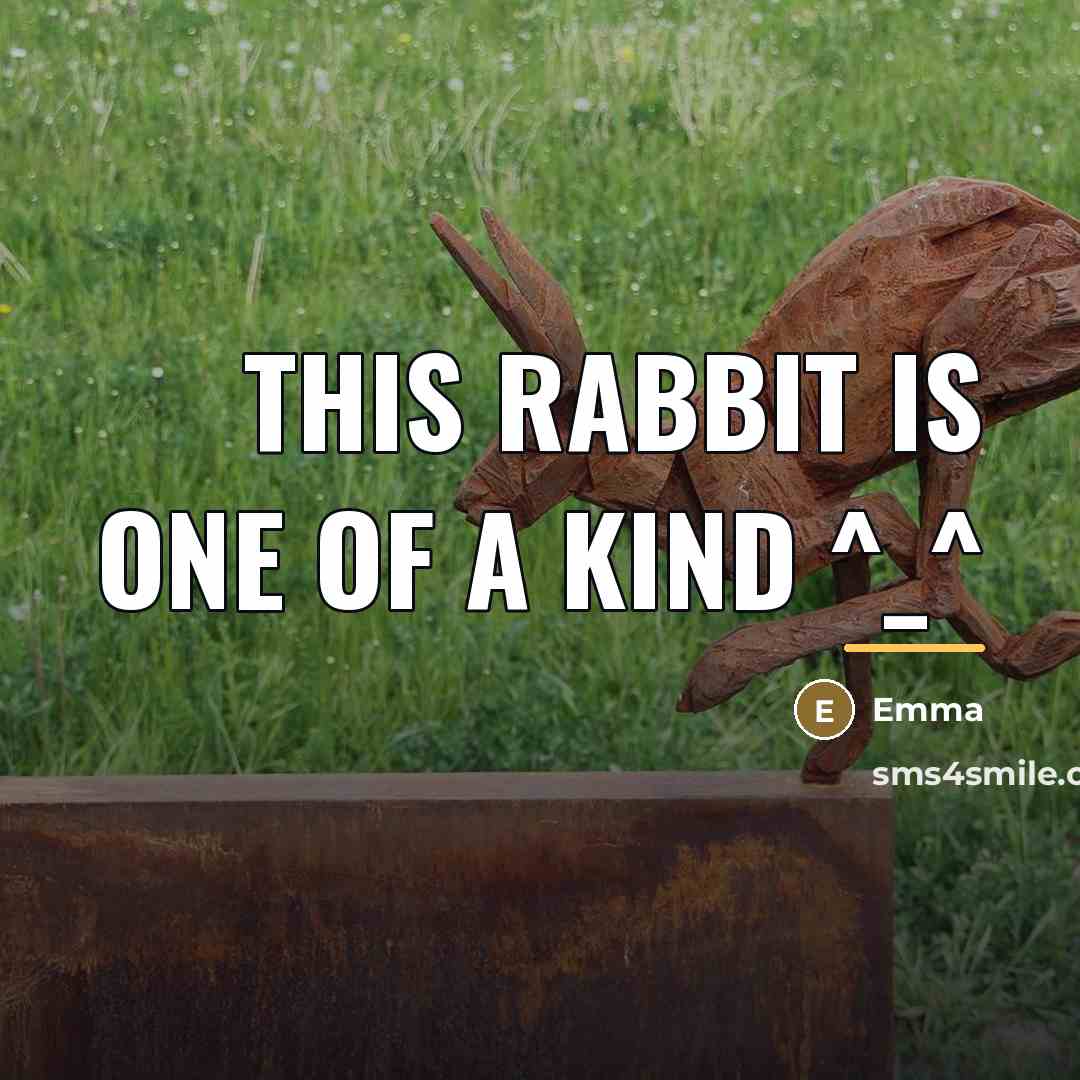 “THIS RABBIT IS ONE OF A KIND ^_^…” quote by Emma