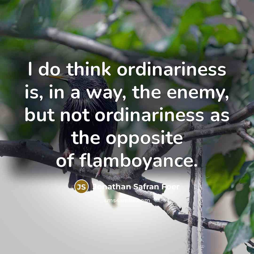 “I do think ordinariness is, in a way, the enemy,…” quote by Jonathan Safran Foer