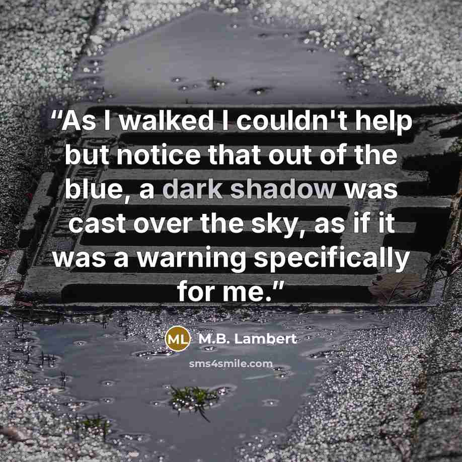 “As I walked I couldn't help but notice that out of the blue, a dark shadow was cast over the sky, as if it was a warning specifically for me.” quote by M.B. Lambert