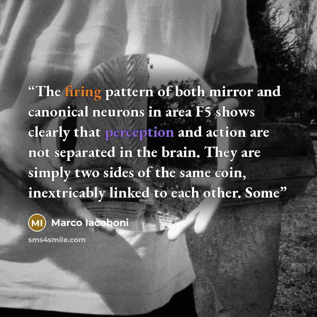 “The firing pattern of both mirror and canonical neurons in area F5 shows clearly that perception and action are not separated in the brain. They are simply two sides of the same coin, inextricably linked to each other. Some” quote by Marco Iacoboni