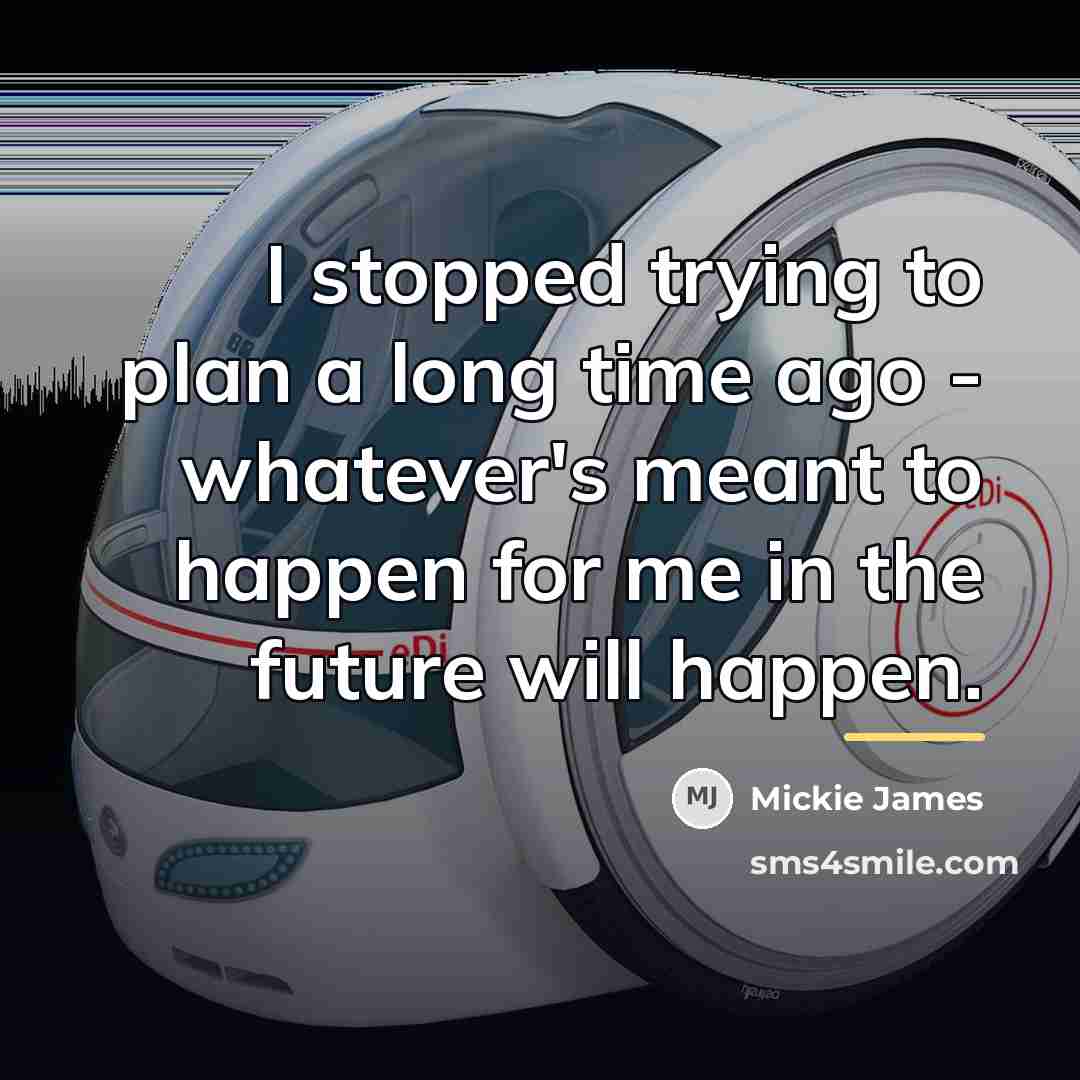 “I stopped trying to plan a long time ago -…” quote by Mickie James