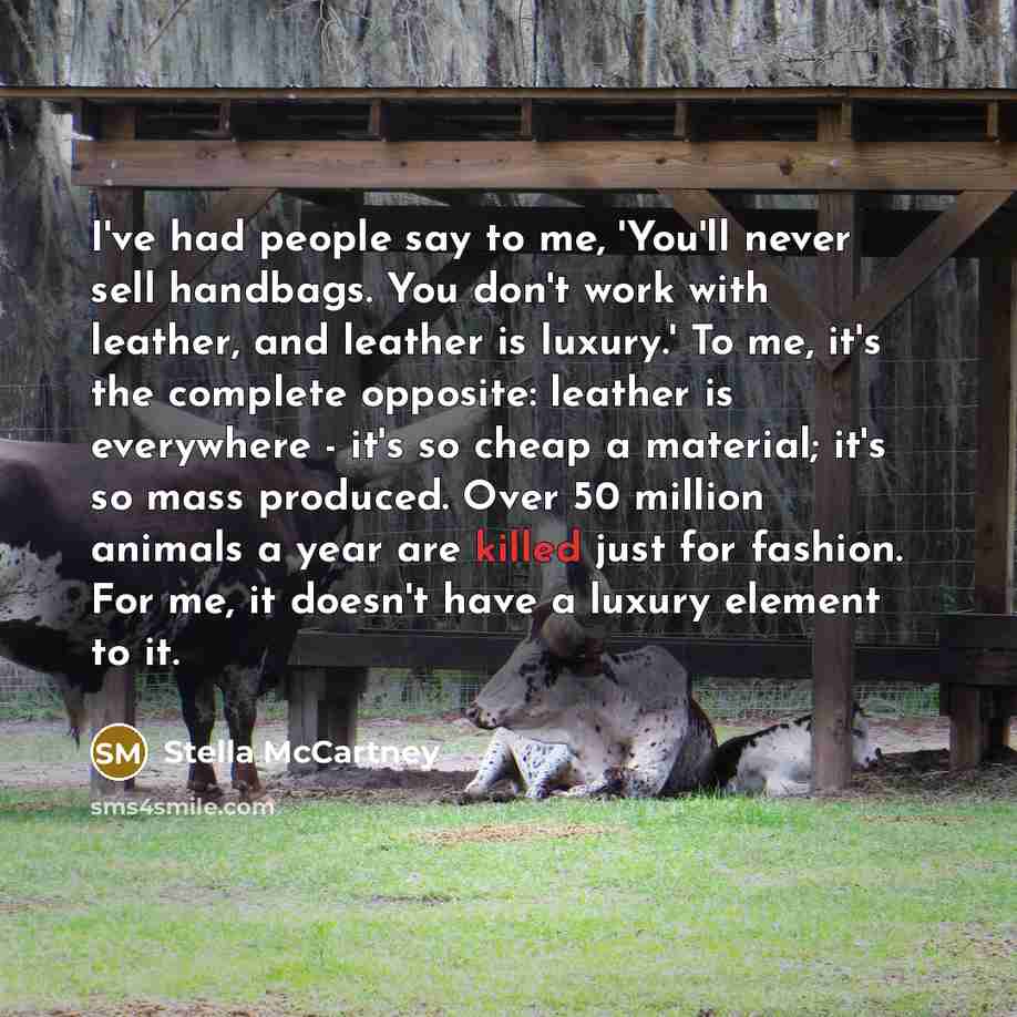 “I've had people say to me, 'You'll never sell handbags.…” quote by Stella McCartney