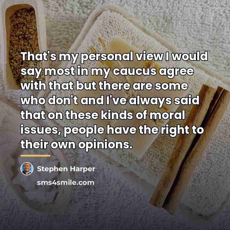 “That's my personal view I would say most in my…” quote by Stephen Harper