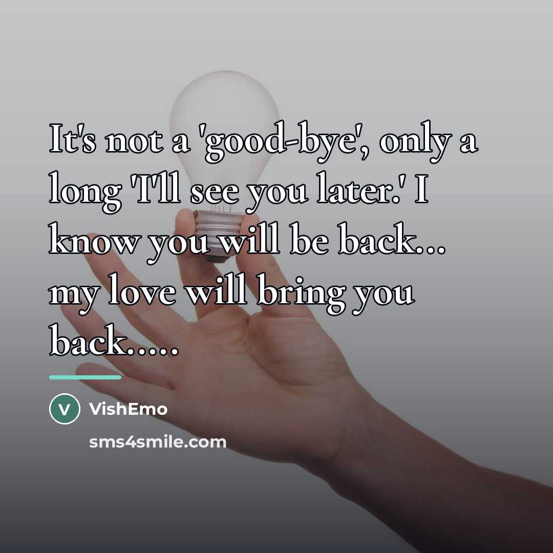 “It's not a 'good-bye', only a long 'I'll see you…” quote by VishEmo