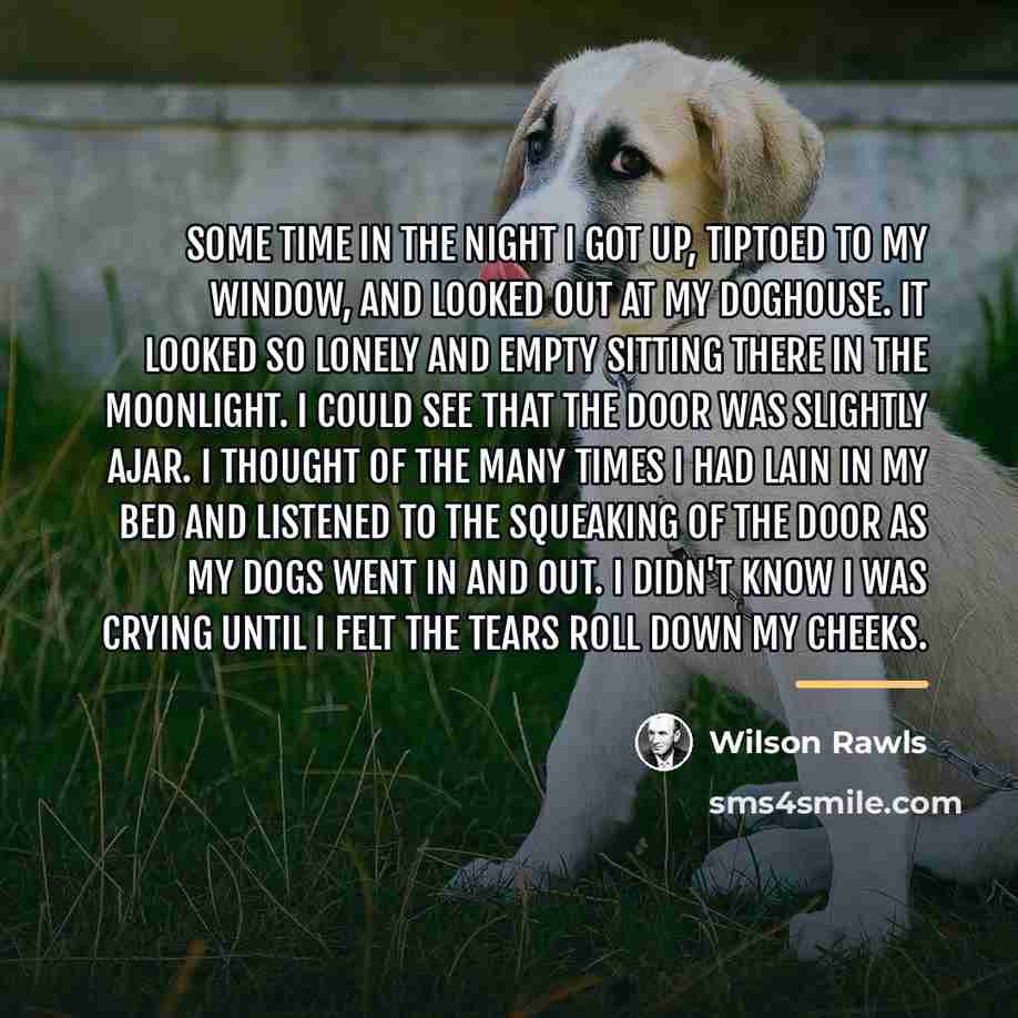“Some time in the night I got up, tiptoed to…” quote by Wilson Rawls