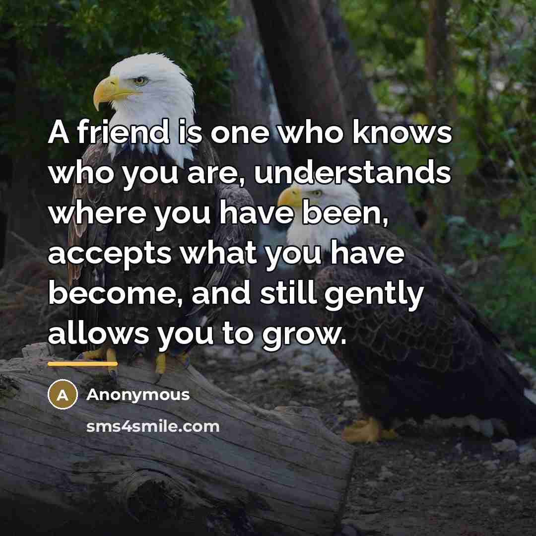 “A friend is one who knows who you are, understands…” quote by Anonymous