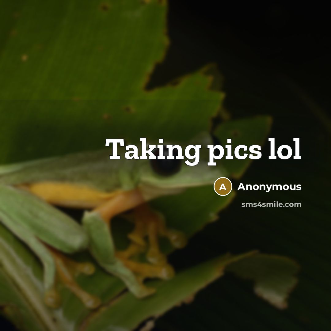 “Taking pics lol” quote by Anonymous