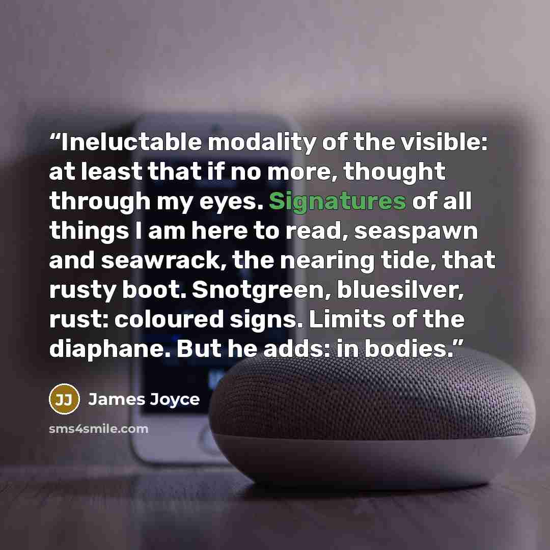 “Ineluctable modality of the visible: at least that if no more, thought through my eyes. Signatures of all things I am here to read, seaspawn and seawrack, the nearing tide, that rusty boot. Snotgreen, bluesilver, rust: coloured signs. Limits of the diaphane. But he adds: in bodies.” quote by James Joyce