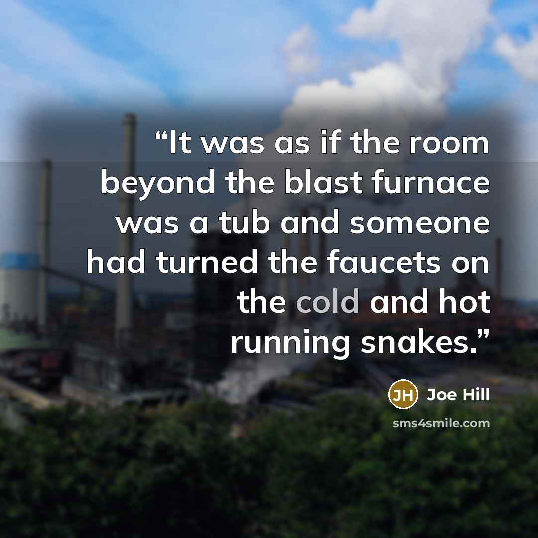 “It was as if the room beyond the blast furnace was a tub and someone had turned the faucets on the cold and hot running snakes.” quote by Joe Hill