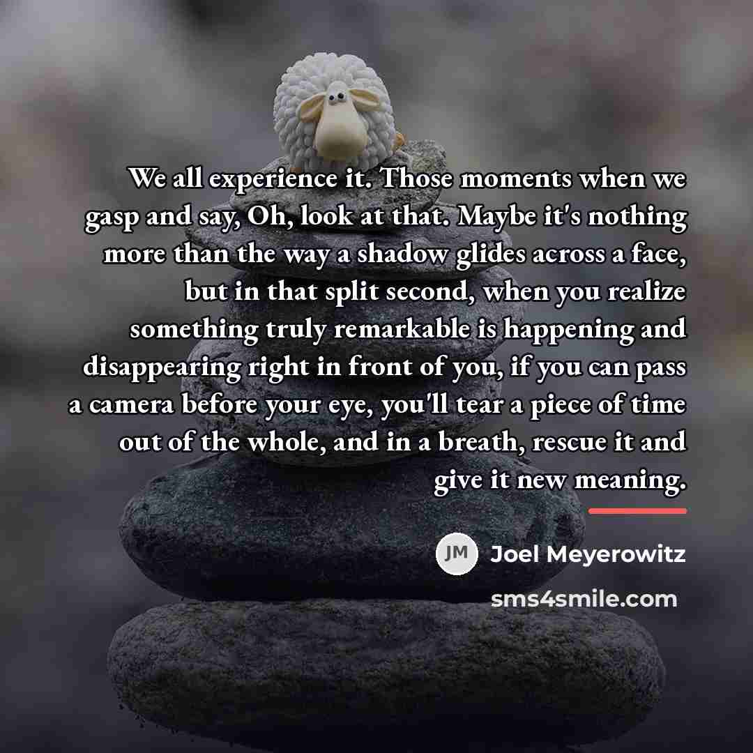 “We all experience it. Those moments when we gasp and…” quote by Joel Meyerowitz