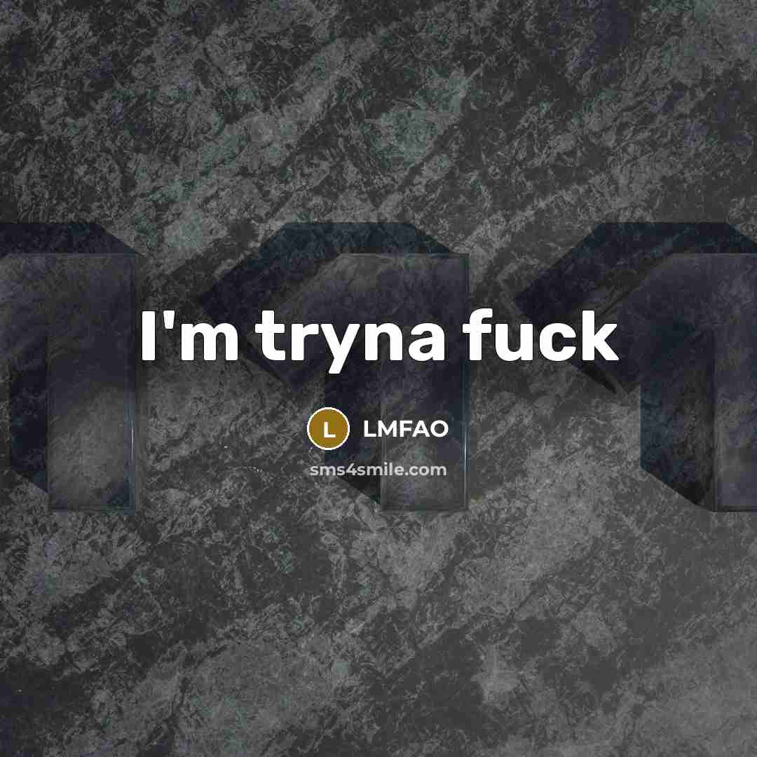 “I'm tryna fuck…” quote by LMFAO