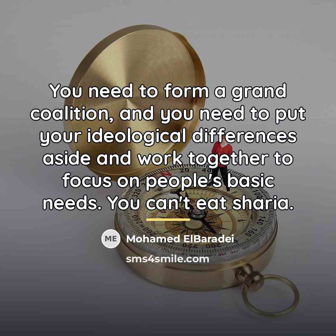 “You need to form a grand coalition, and you need…” quote by Mohamed ElBaradei