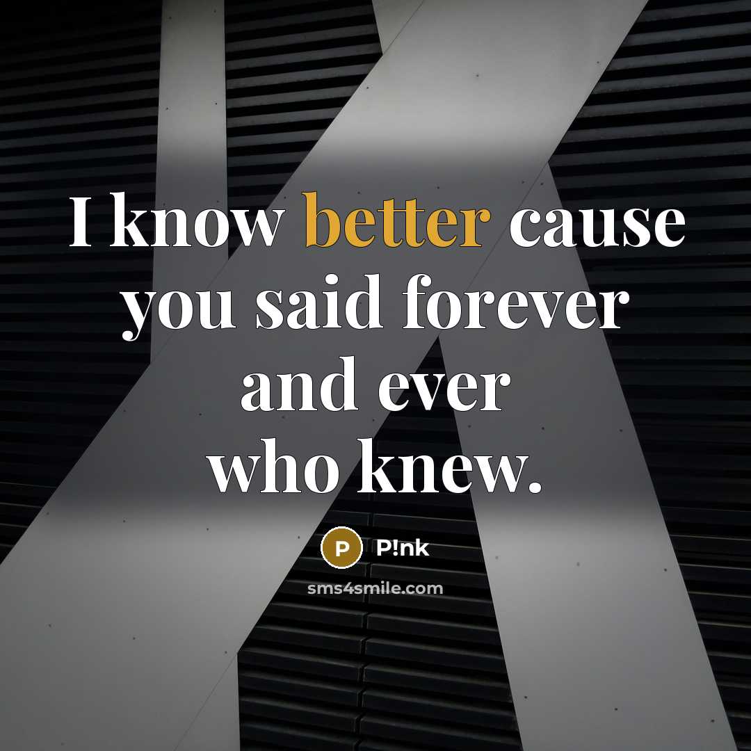 “I know better cause you said forever and ever who knew.” quote by P!nk