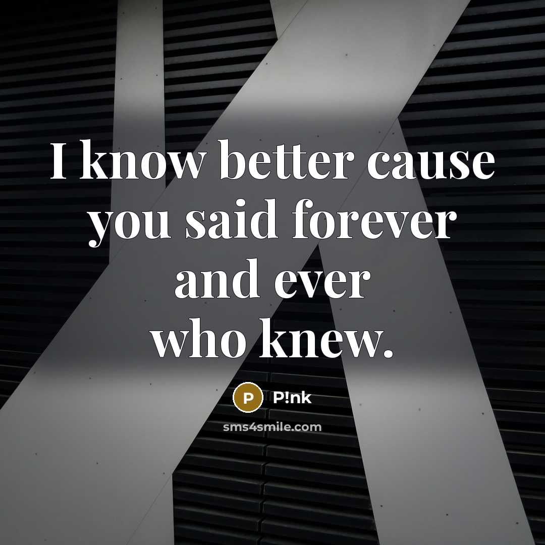 “I know better cause you said forever and ever who…” quote by P!nk