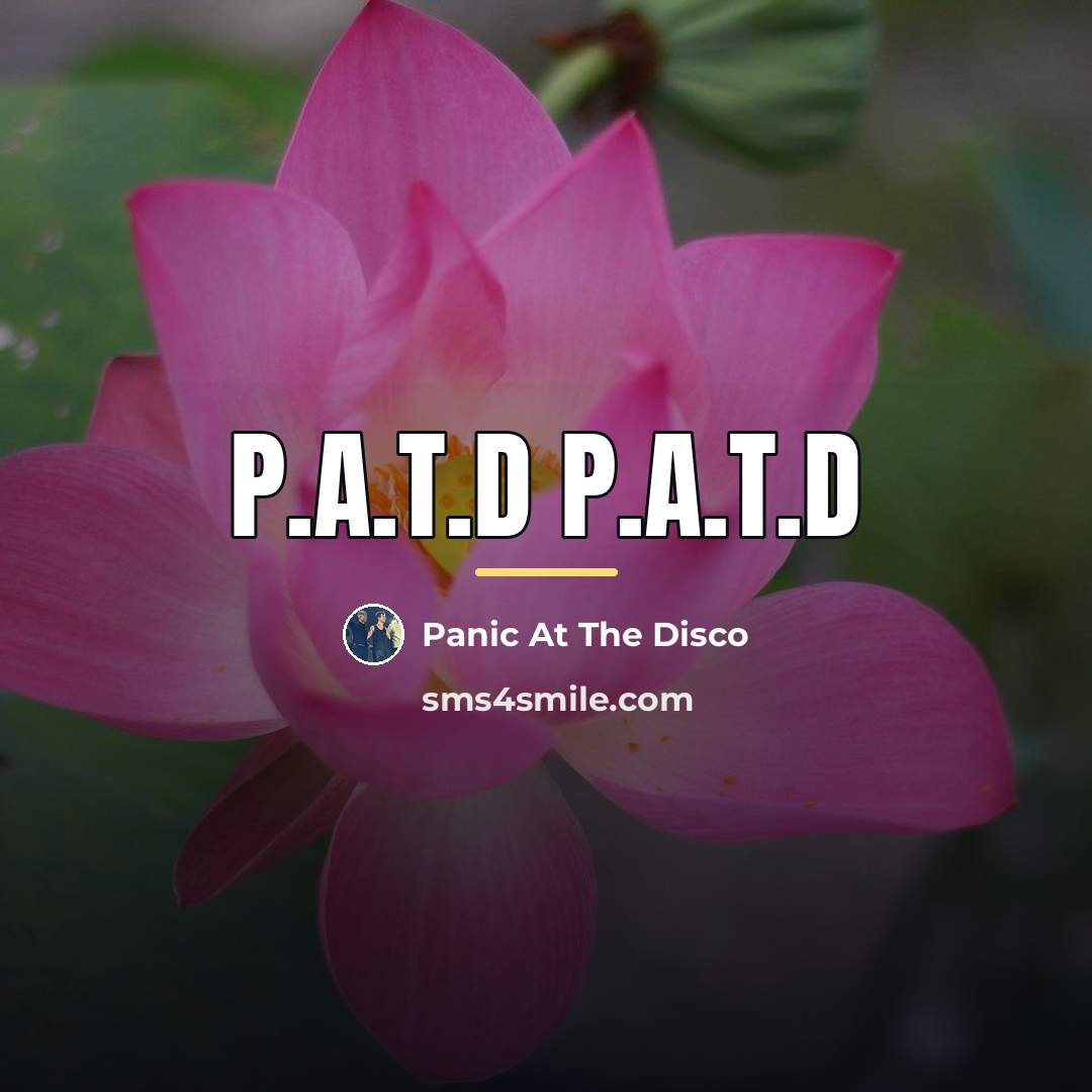 “P.A.T.D P.A.T.D…” quote by Panic At The Disco
