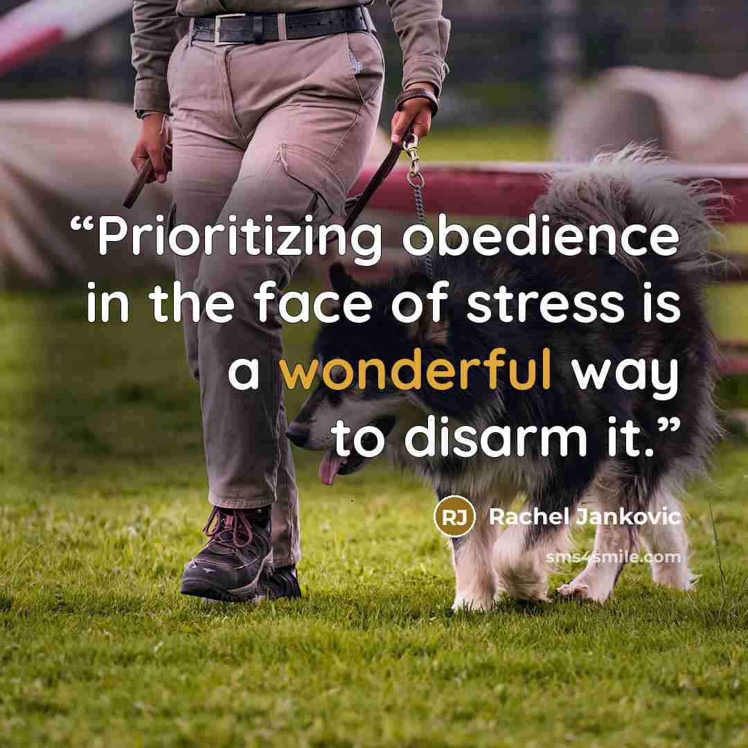 “Prioritizing obedience in the face of stress is a wonderful way to disarm it.” quote by Rachel Jankovic