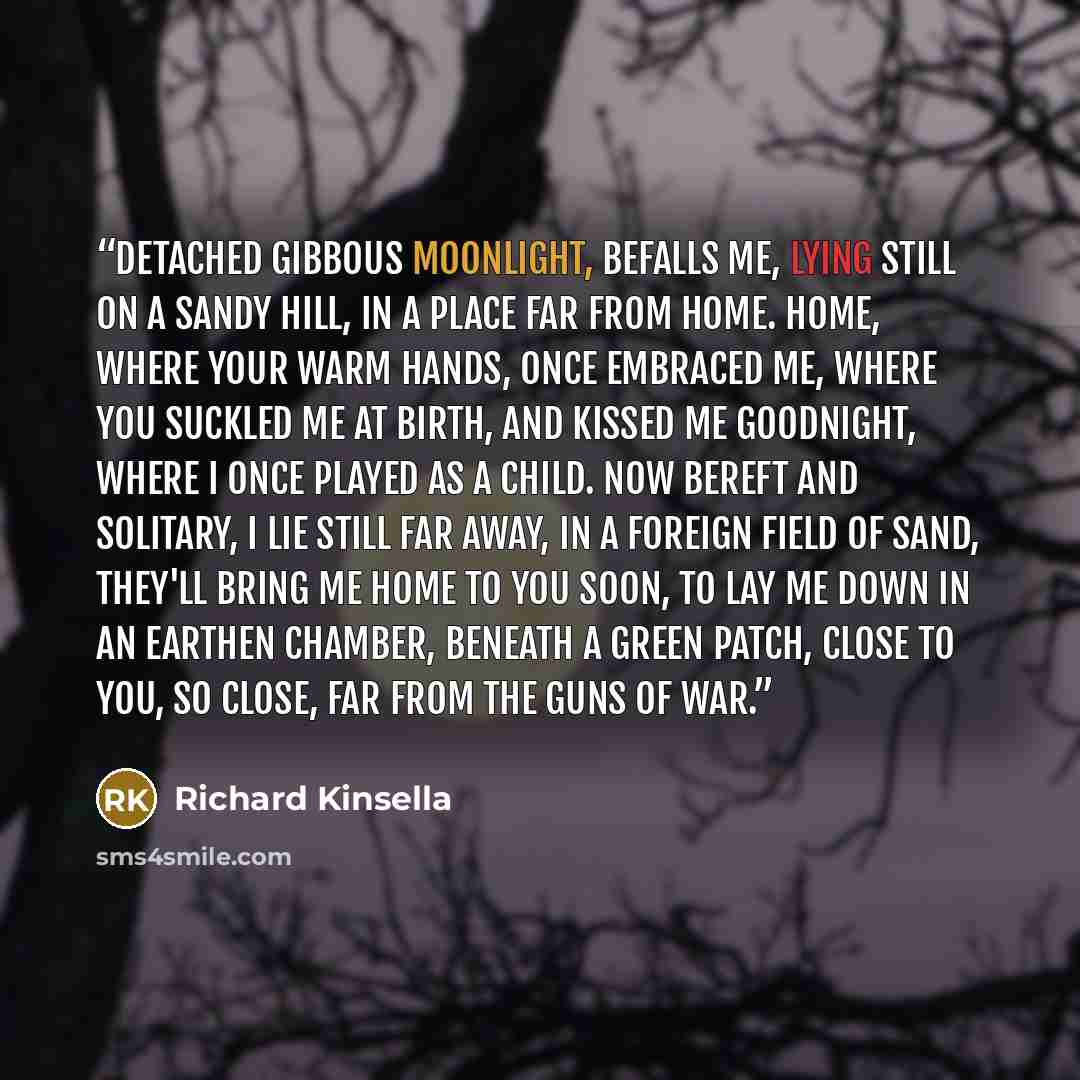 “Detached gibbous moonlight, Befalls me, Lying still on a sandy hill, In a place far from home. Home, where your warm hands, Once embraced me, Where you suckled me at birth, And kissed me goodnight, Where I once played as a child. Now bereft and solitary, I lie still far away, In a foreign field of…” quote by Richard Kinsella