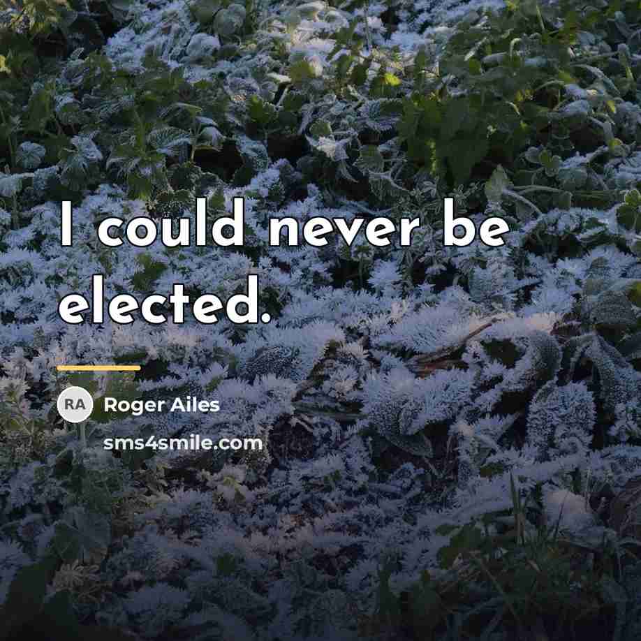 “I could never be elected.…” quote by Roger Ailes