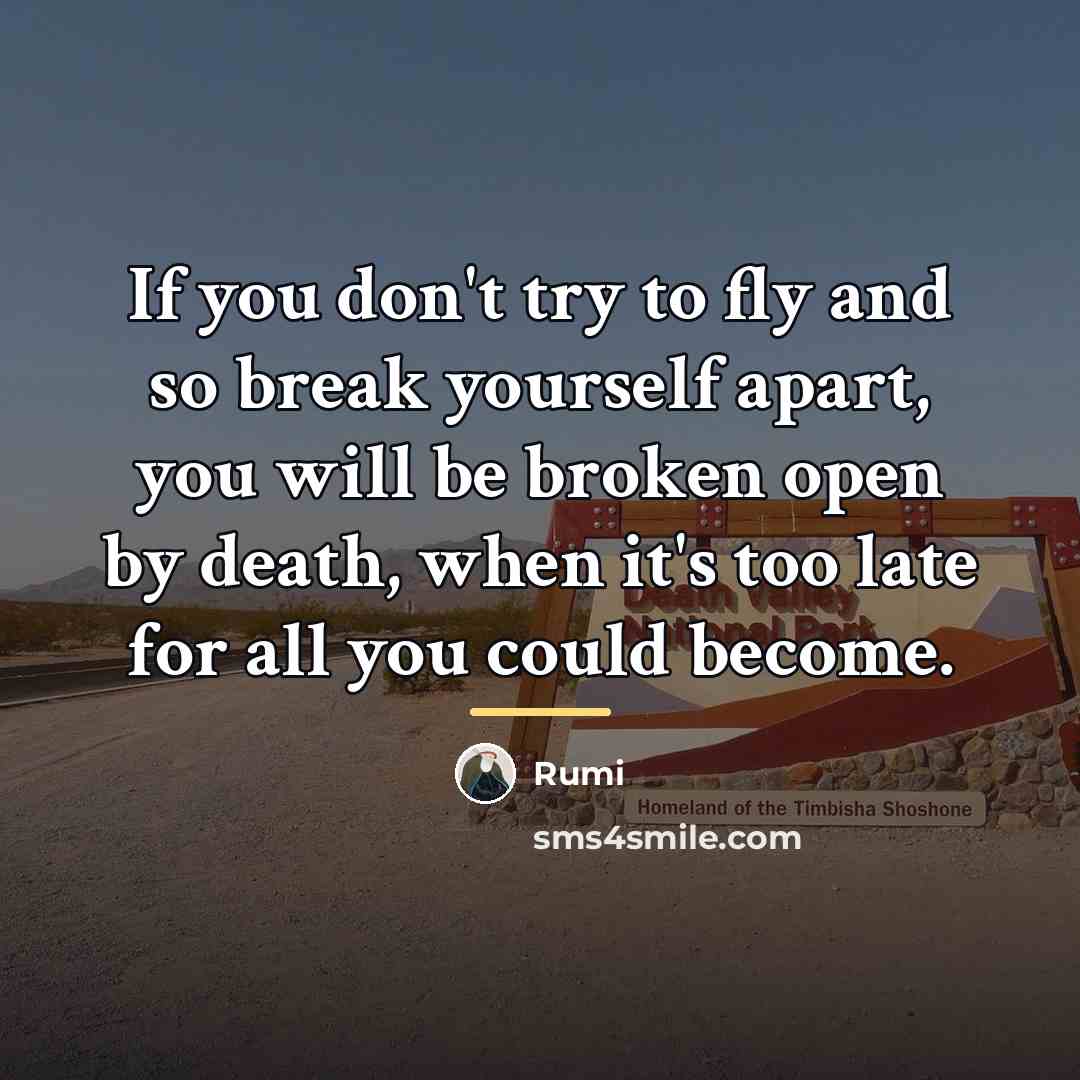 “If you don't try to fly and so break yourself…” quote by Rumi