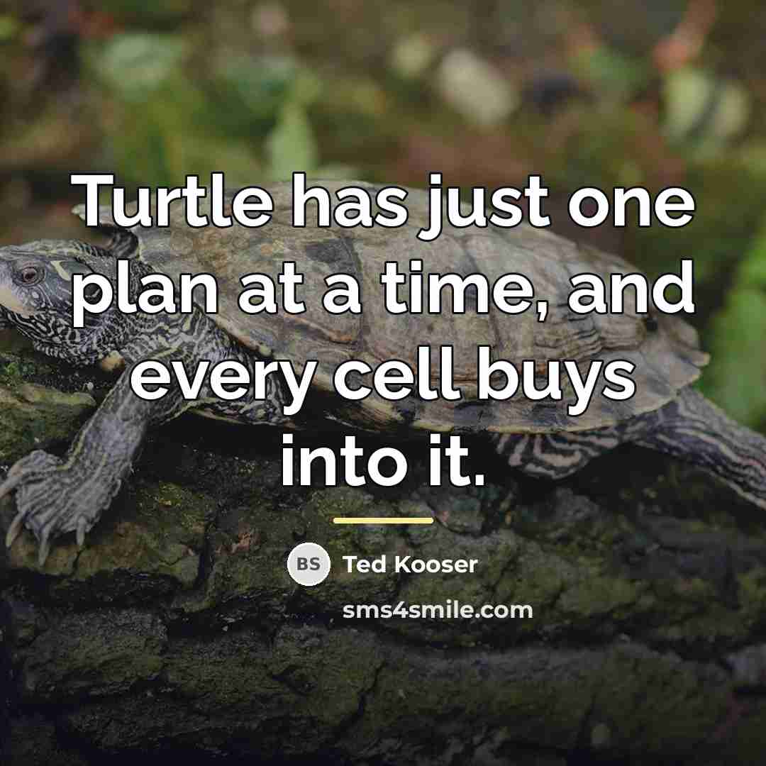 “Turtle has just one plan at a time, and every…” quote by Ted Kooser