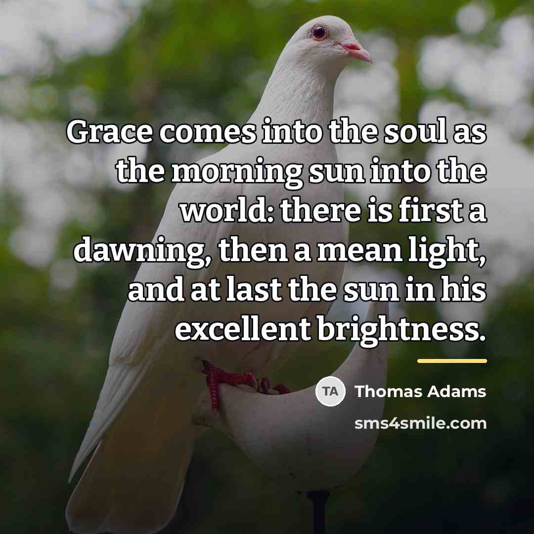 “Grace comes into the soul as the morning sun into…” quote by Thomas Adams