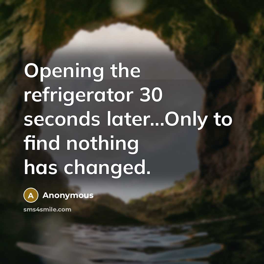 “Opening the refrigerator 30 seconds later...Only to find nothing has changed.” quote by Anonymous