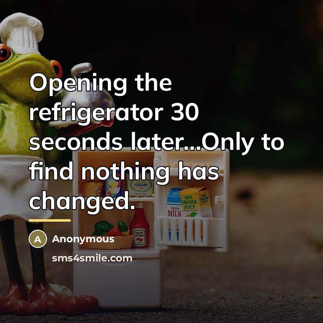 “Opening the refrigerator 30 seconds later...Only to find nothing has…” quote by Anonymous