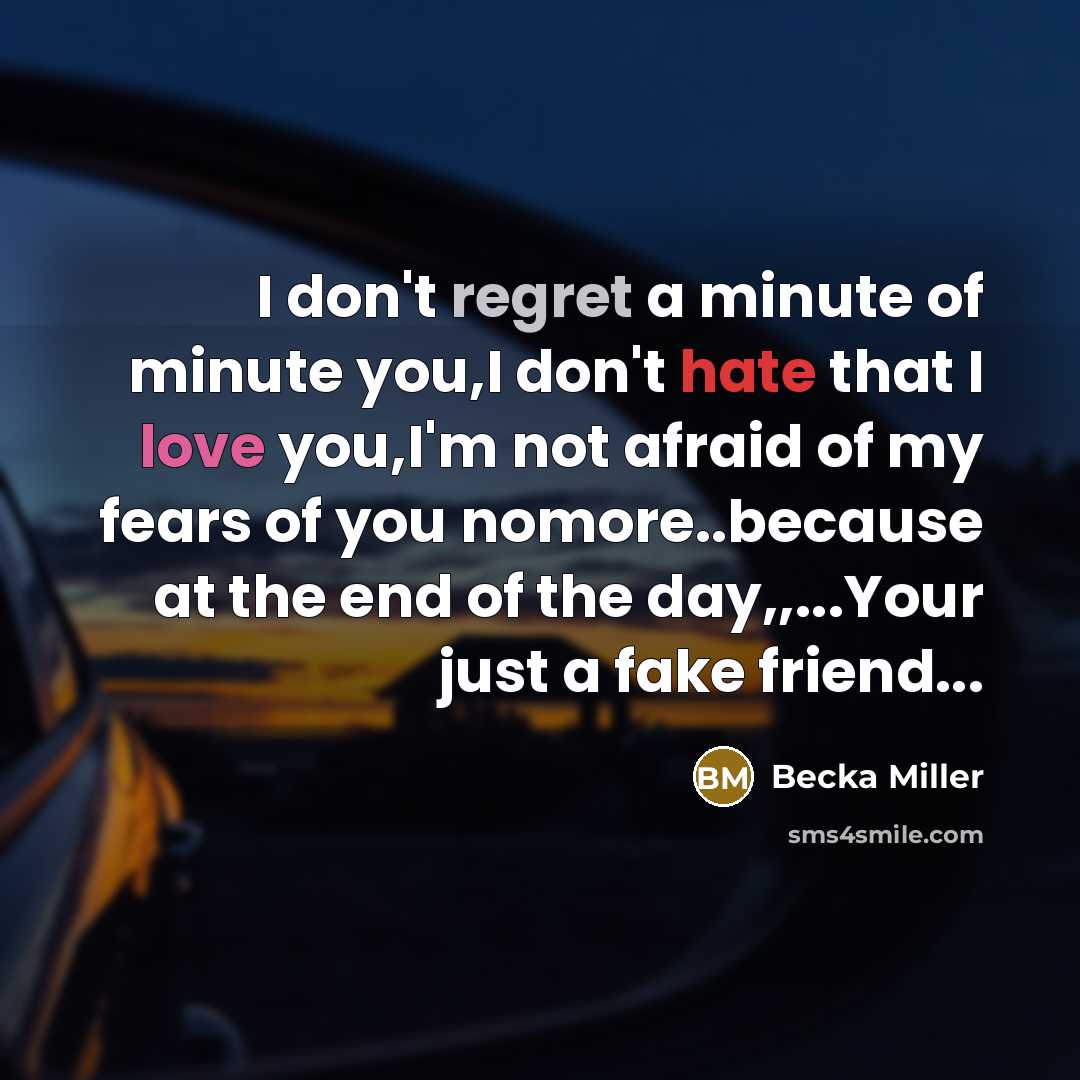 “I don't regret a minute of minute you,I don't hate…” quote by Becka Miller